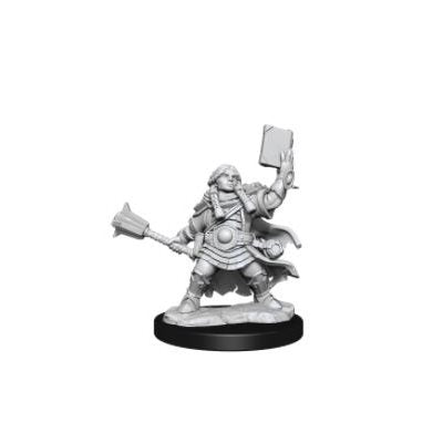 D&D Frameworks: Dwarf Cleric Female | L.A. Mood Comics and Games