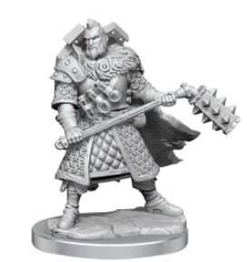 D&D Frameworks: Human Fighter Male | L.A. Mood Comics and Games