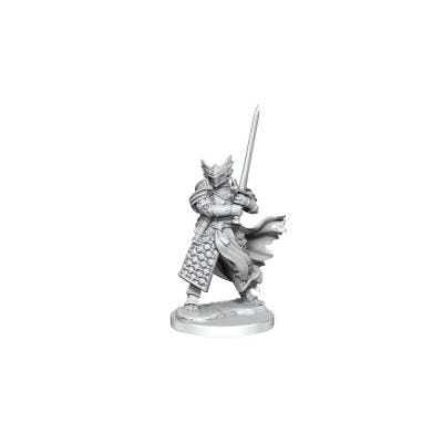 D&D Frameworks: Dragonborn Paladin Male | L.A. Mood Comics and Games