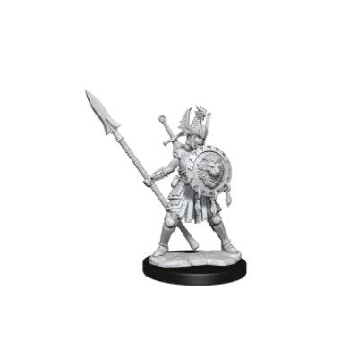 D&D Frameworks: Human Fighter Female | L.A. Mood Comics and Games