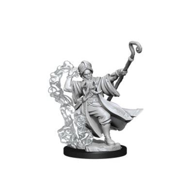D&D Frameworks: Human Wizard Male | L.A. Mood Comics and Games