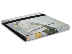 Dragon Shield Portfolio 576  – ‘Dashat’ | L.A. Mood Comics and Games