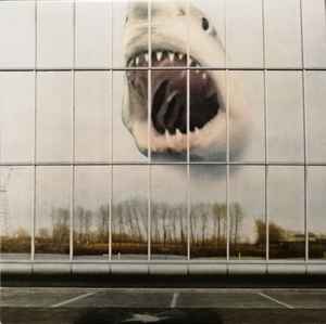 Black Mountain - Wilderness Heart (Vinyl LP) | L.A. Mood Comics and Games