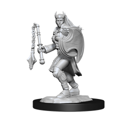 DND UNPAINTED MINIS WV14 KALASHTAR CLERIC FEMALE | L.A. Mood Comics and Games