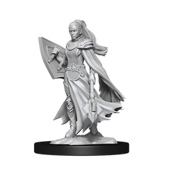 DND UNPAINTED MINIS WV14 KALASHTAR CLERIC FEMALE | L.A. Mood Comics and Games