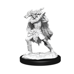 DND UNPAINTED MINIS WV15 WINTER AND SPRING ELADRIN | L.A. Mood Comics and Games