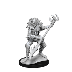 DND UNPAINTED MINIS WV14 KOALINTHS | L.A. Mood Comics and Games