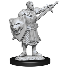 PF UNPAINTED MINIS WV14 HUMAN CHAMPION MALE | L.A. Mood Comics and Games