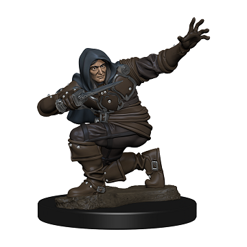 PF Battles: Premium Painted Figure - Human Rogue Male | L.A. Mood Comics and Games