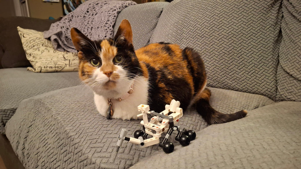 The Many Stages of Building LEGO as a Grown-up