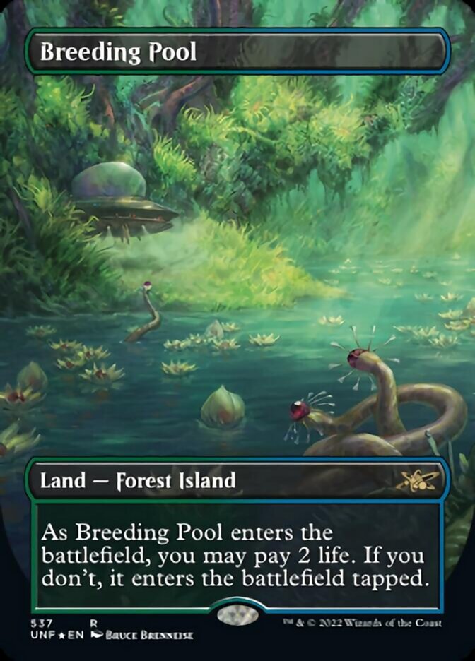 Breeding Pool (Borderless) (Galaxy Foil) [Unfinity] | L.A. Mood Comics and Games