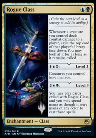 Rogue Class (Promo Pack) [Dungeons & Dragons: Adventures in the Forgotten Realms Promos] | L.A. Mood Comics and Games