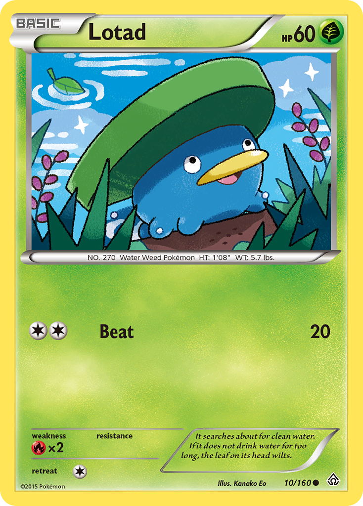 Lotad (10/160) [XY: Primal Clash] | L.A. Mood Comics and Games
