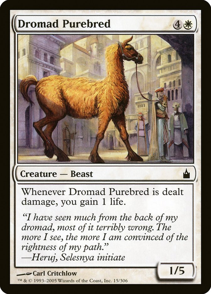 Dromad Purebred [Ravnica: City of Guilds] | L.A. Mood Comics and Games