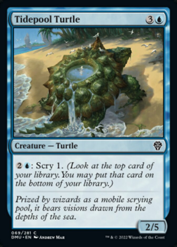 Tidepool Turtle [Dominaria United] | L.A. Mood Comics and Games