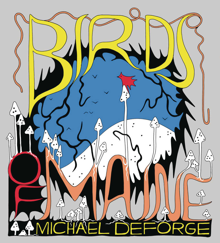 Birds Of Maine Hardcover (Mature) | L.A. Mood Comics and Games