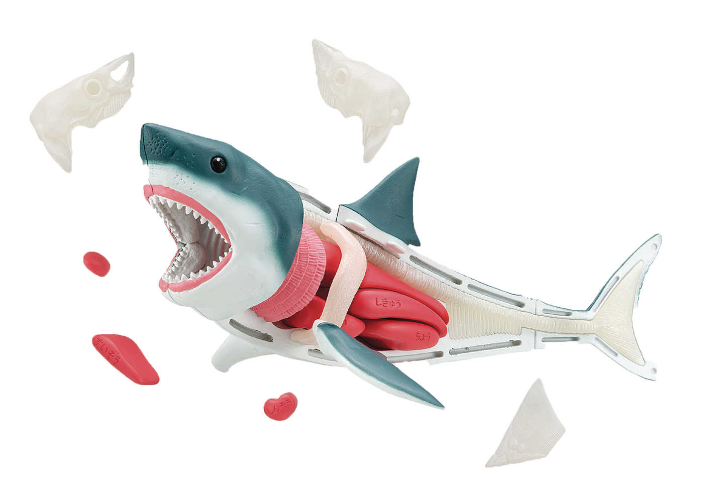 Megahouse Kaitai Puzzle Great White Shark | L.A. Mood Comics and Games