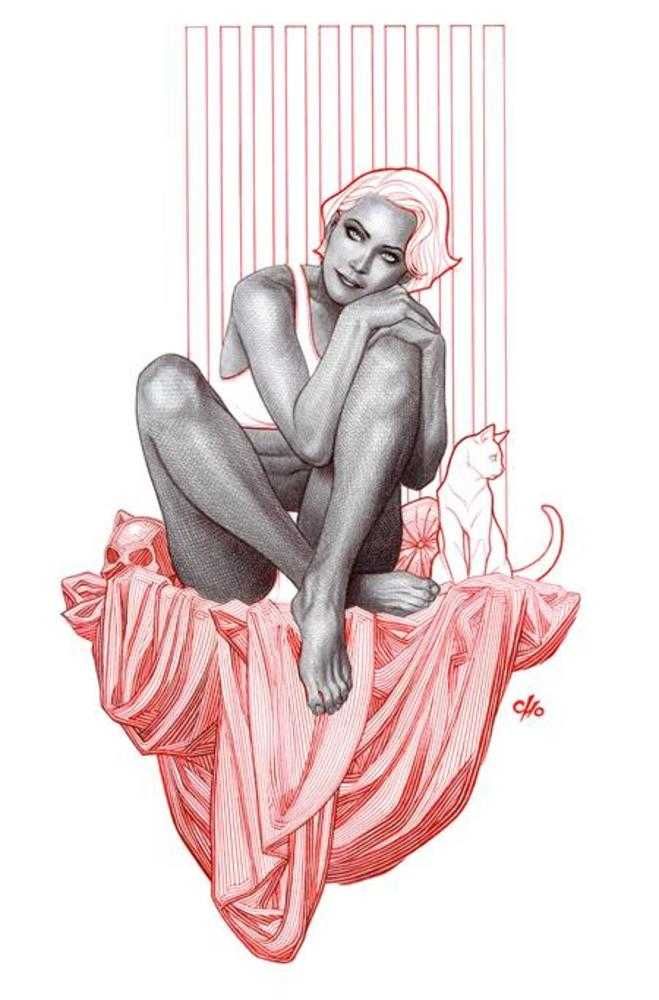 Catwoman #79 Cover B Frank Cho Card Stock Variant | L.A. Mood Comics and Games