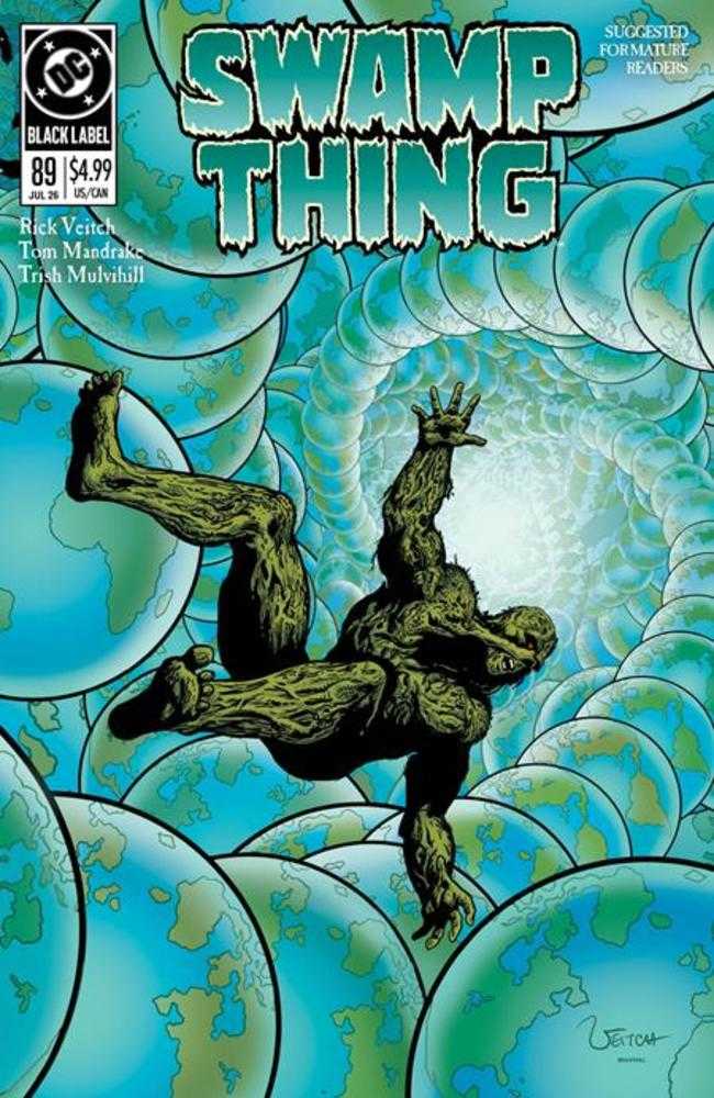 Swamp Thing 1989 #2 (Of 4) Cover A Rick Veitch (Mature) | L.A. Mood Comics and Games
