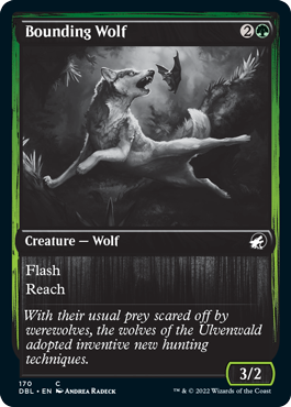 Bounding Wolf [Innistrad: Double Feature] | L.A. Mood Comics and Games