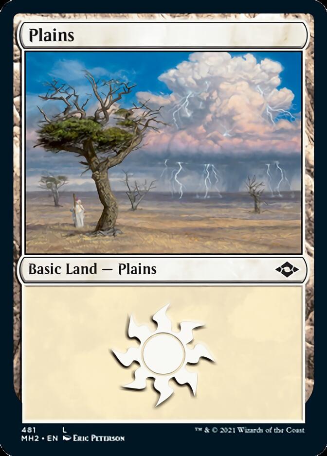 Plains (481) (Foil Etched) [Modern Horizons 2] | L.A. Mood Comics and Games