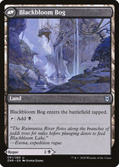 Blackbloom Rogue // Blackbloom Bog [Zendikar Rising] | L.A. Mood Comics and Games