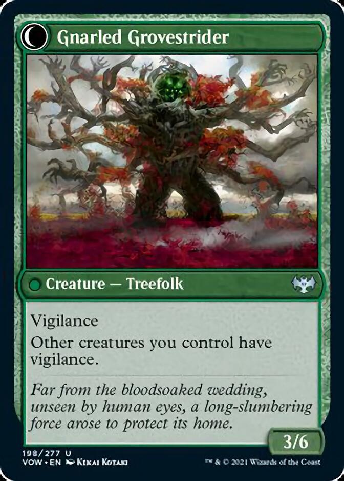 Dormant Grove // Gnarled Grovestrider [Innistrad: Crimson Vow] | L.A. Mood Comics and Games