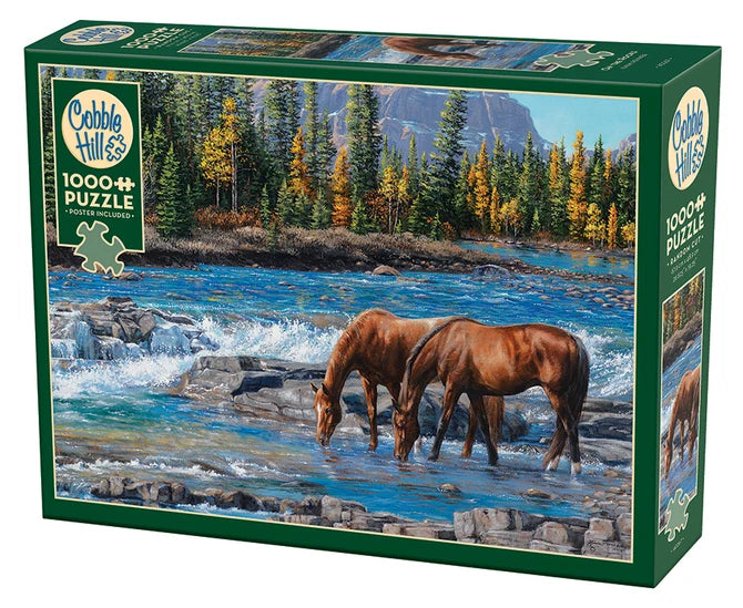 Puzzle 1000pc On the Rocks | L.A. Mood Comics and Games
