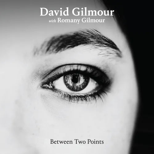 David Gilmour w/ Romany Gilmour - Between Two Points (2025 RSD Vinyl) | L.A. Mood Comics and Games
