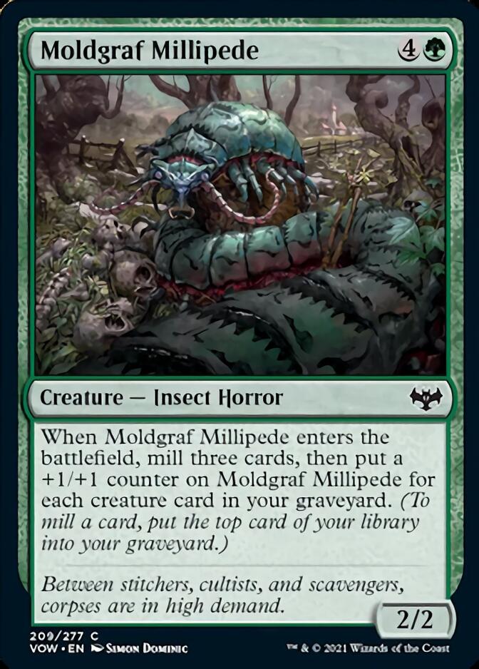 Moldgraf Millipede [Innistrad: Crimson Vow] | L.A. Mood Comics and Games