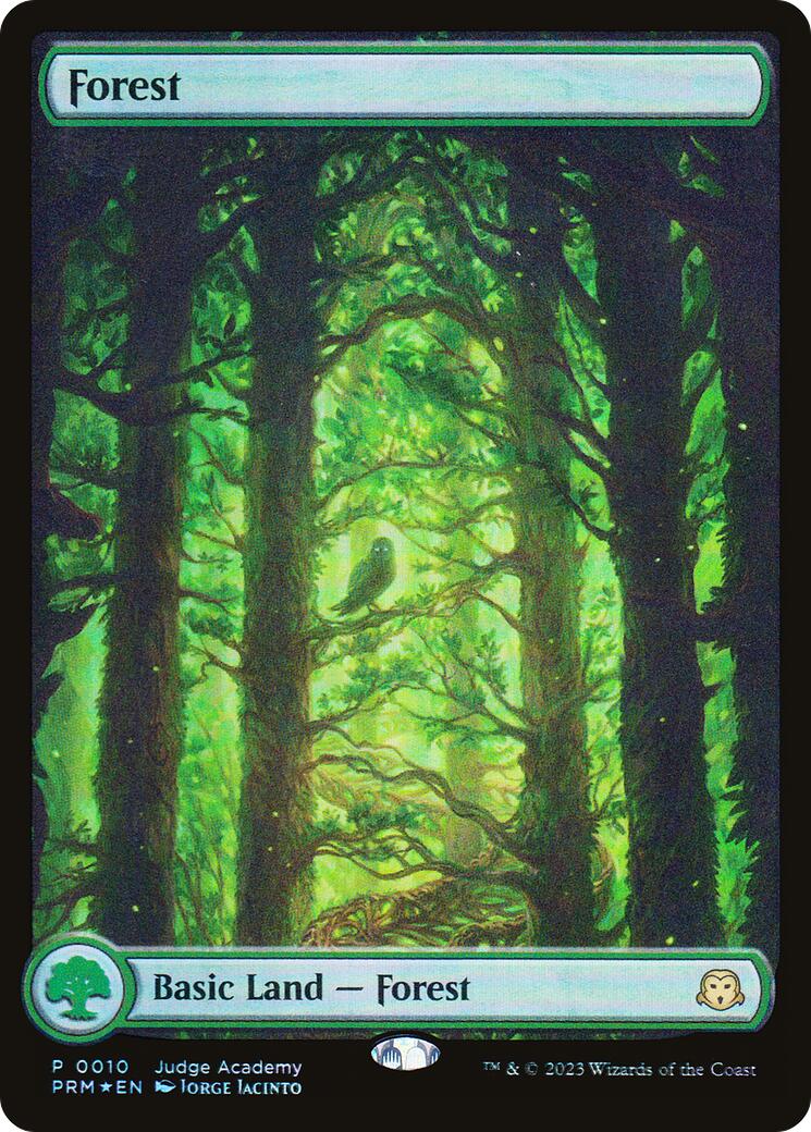 Forest [Judge Gift Cards 2023] | L.A. Mood Comics and Games