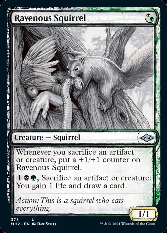 Ravenous Squirrel (Sketch) [Modern Horizons 2] | L.A. Mood Comics and Games