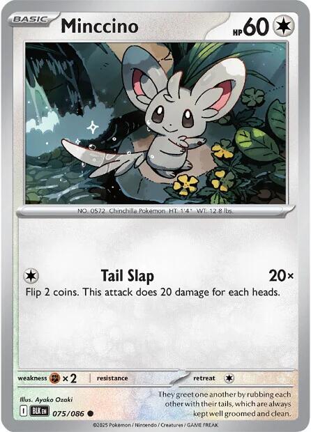 Minccino (075/086) [Scarlet & Violet: Black Bolt] | L.A. Mood Comics and Games
