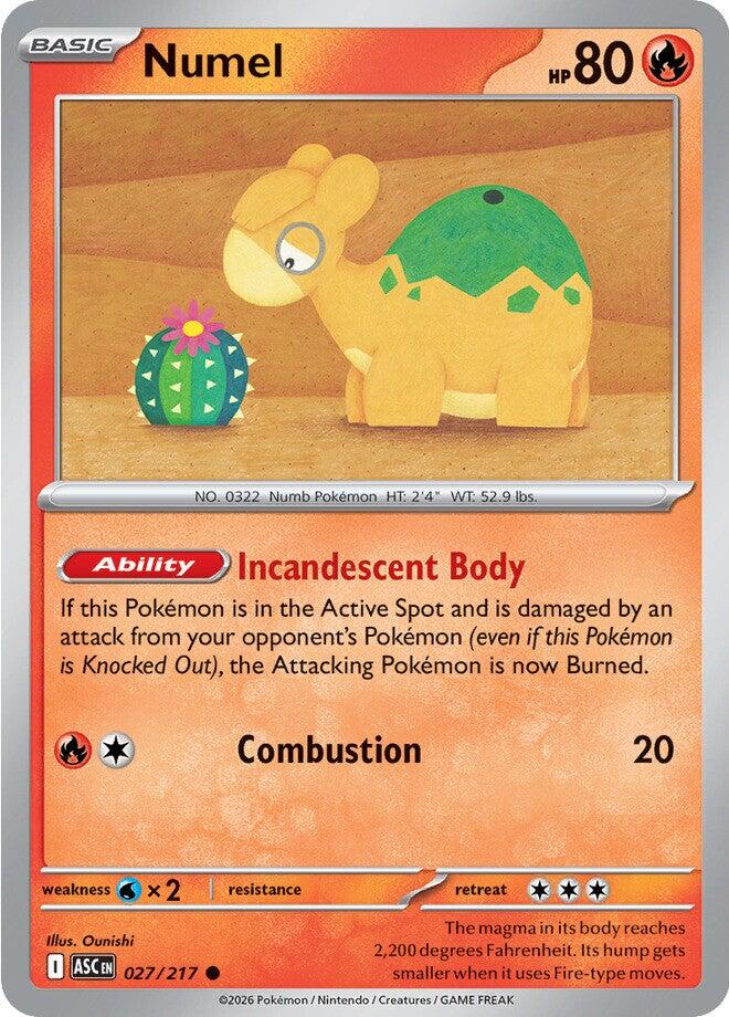 Numel (027/217) [Mega Evolution: Ascended Heroes] | L.A. Mood Comics and Games