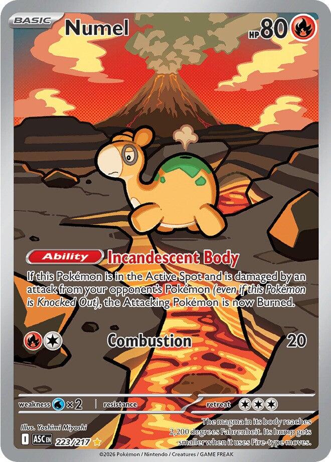 Numel (223/217) [Mega Evolution: Ascended Heroes] | L.A. Mood Comics and Games