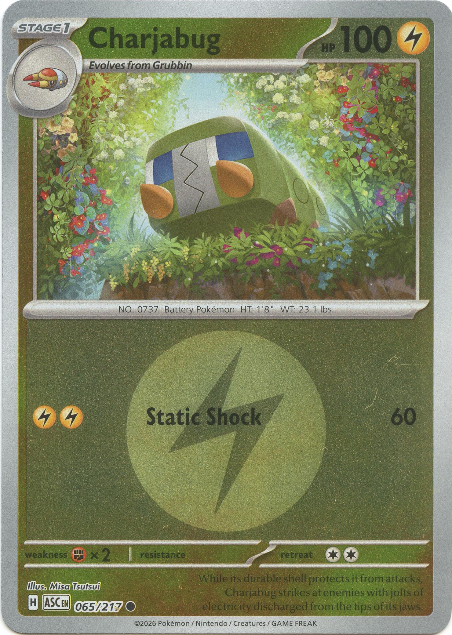 Charjabug (065/217) (Energy Symbol Pattern) [Mega Evolution: Ascended Heroes] | L.A. Mood Comics and Games