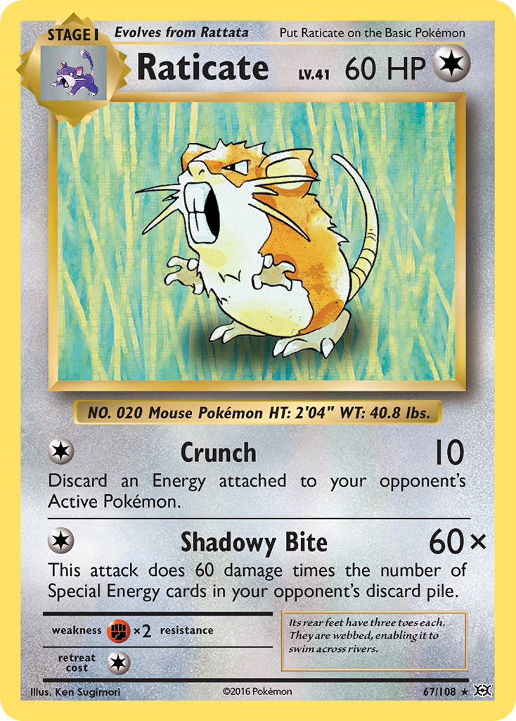 Raticate (67/108) [XY: Evolutions] | L.A. Mood Comics and Games