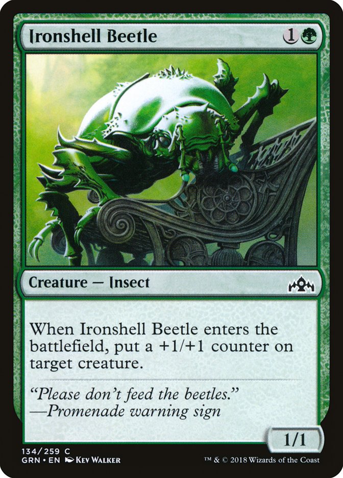 Ironshell Beetle [Guilds of Ravnica] | L.A. Mood Comics and Games