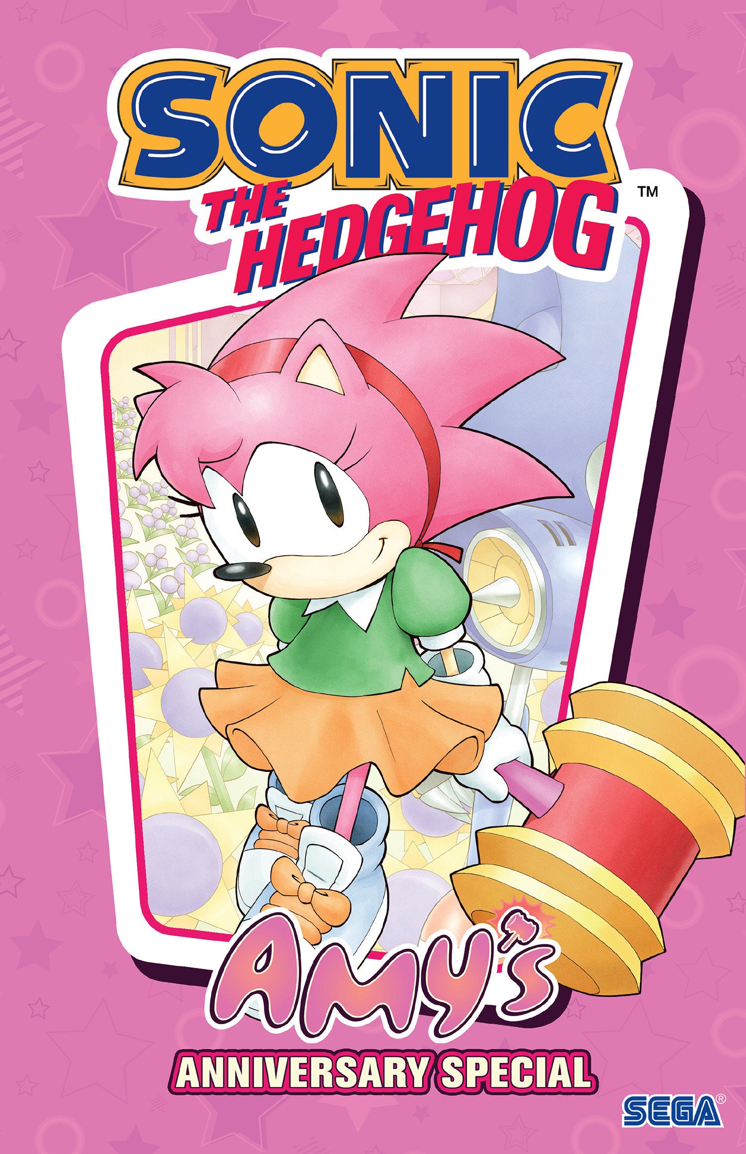 Sonic The Hedgehog: Amy's Anniversary Special | L.A. Mood Comics and Games