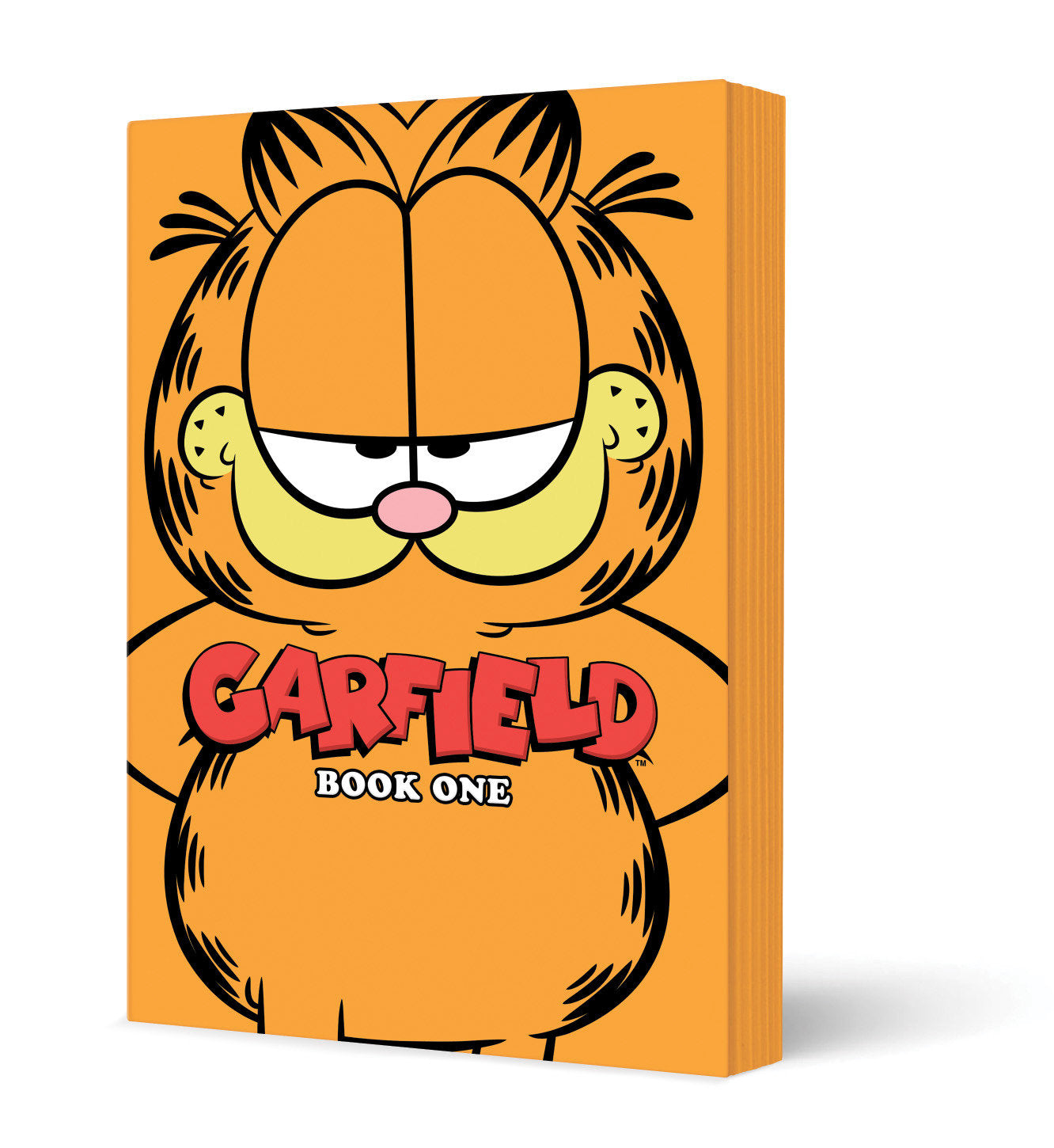 Garfield Book One | L.A. Mood Comics and Games
