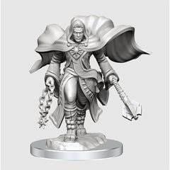 DND Nolzur's Marvelous Miniatures: Wave 20 - Aasmiar Cleric Male | L.A. Mood Comics and Games