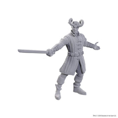 NOLZUR'S MARVELOUS MINIATURES: WYLL AND KARLACH | L.A. Mood Comics and Games