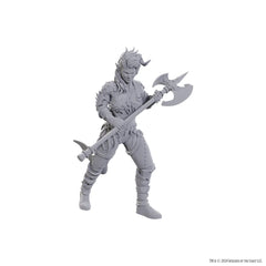 NOLZUR'S MARVELOUS MINIATURES: WYLL AND KARLACH | L.A. Mood Comics and Games