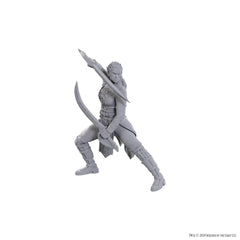 NOLZUR'S MARVELOUS MINIATURES: JAHEIRA AND HALSIN | L.A. Mood Comics and Games