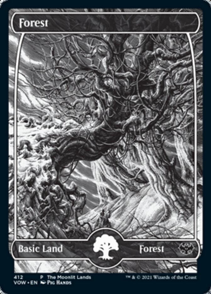 Forest (The Moonlit Lands) (Foil Etched) [Innistrad: Crimson Vow Promos] | L.A. Mood Comics and Games