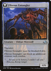 Tangleclaw Werewolf // Fibrous Entangler [Eldritch Moon] | L.A. Mood Comics and Games