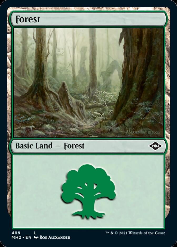 Forest (489) (Foil Etched) [Modern Horizons 2] | L.A. Mood Comics and Games