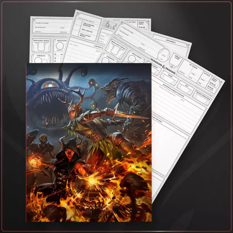 Dungeons & Dragons 2024 Character Sheets | L.A. Mood Comics and Games