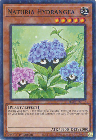 Naturia Hydrangea (Duel Terminal) [HAC1-EN107] Common | L.A. Mood Comics and Games