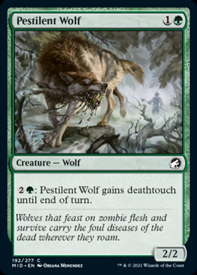 Pestilent Wolf [Innistrad: Midnight Hunt] | L.A. Mood Comics and Games